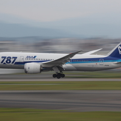 ANA B787-8