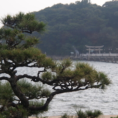 竹島(八百富神社)