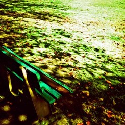 October in pheasants park