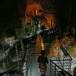 Dungeon　#1
