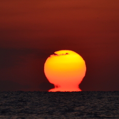 3月の夕陽