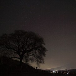 わに塚の桜の木と星空