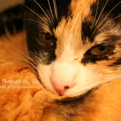 KTheL2012_6