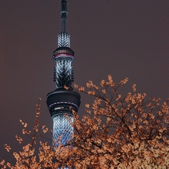 夜景 (134)