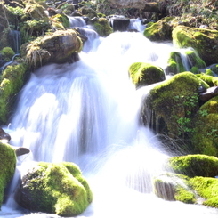 宮城県川崎町の湧水・象ヶ沢噴水