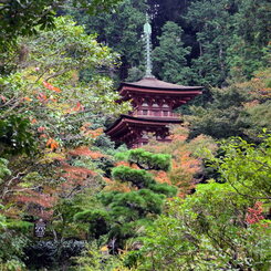 浄瑠璃寺三重塔