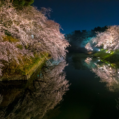 弘前公園・杉の大橋から