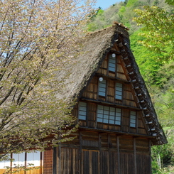 白川郷にて #01