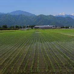 安曇野