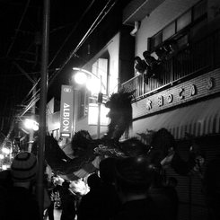 Dragon dance night