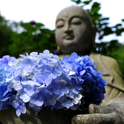 花想い地蔵