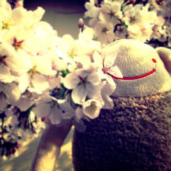 桜ッション