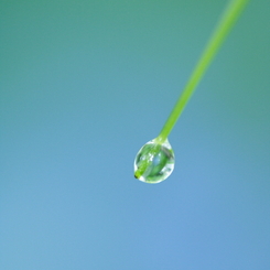 Aqueous Blue