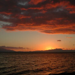 SunriseGlow高島市