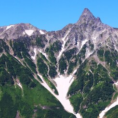 フェニックス