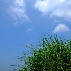空