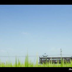 田園