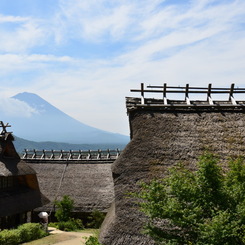 根場の夏