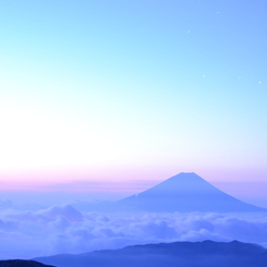 冷涼な空気の中で