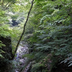 西沢渓谷
