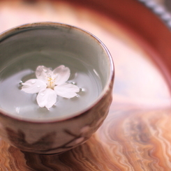 桜色