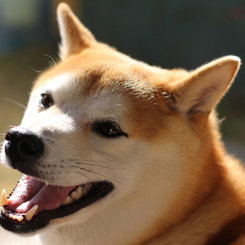 ぴかぴかの笑顔
