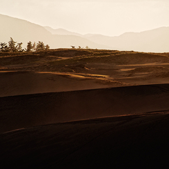Dune of dusk SNAP*4
