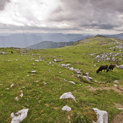 Magnificent plateau