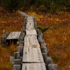 201310_joudo_09