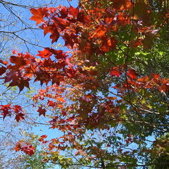 塩狩峠08