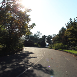 葛西臨海公園２０１３_２4