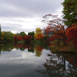 札幌　中島公園　１