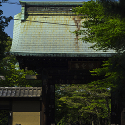 豪徳寺001