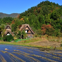 山里の秋　白川郷