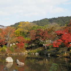 京都もそろそろ