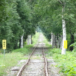 美深トロッコ王国　北海道