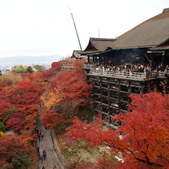 京都　清水寺