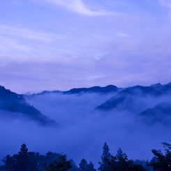 雲海