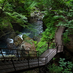 小坂の滝（岐阜）8