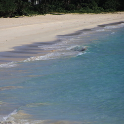 paradise**2