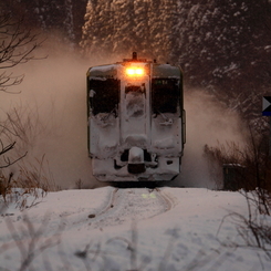 Morning glow train VII
