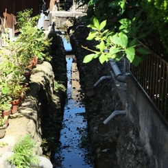 空へ続く