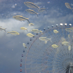 空に泳ぐ