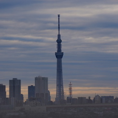 SKYTREE in the morning.