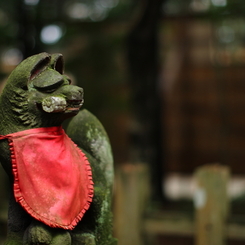睨む