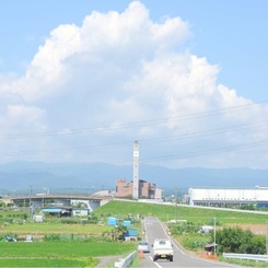 此岸からの風景＜2011-1＞＊高麗川、新戸口橋付近