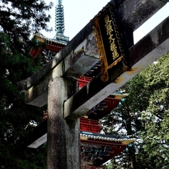 東照大権現