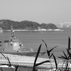 yokosuka