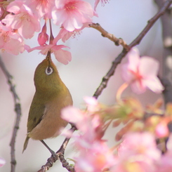 東北の復興を祈ります 2/4