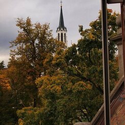 ホテルの窓からの風景(シャウハウゼン)